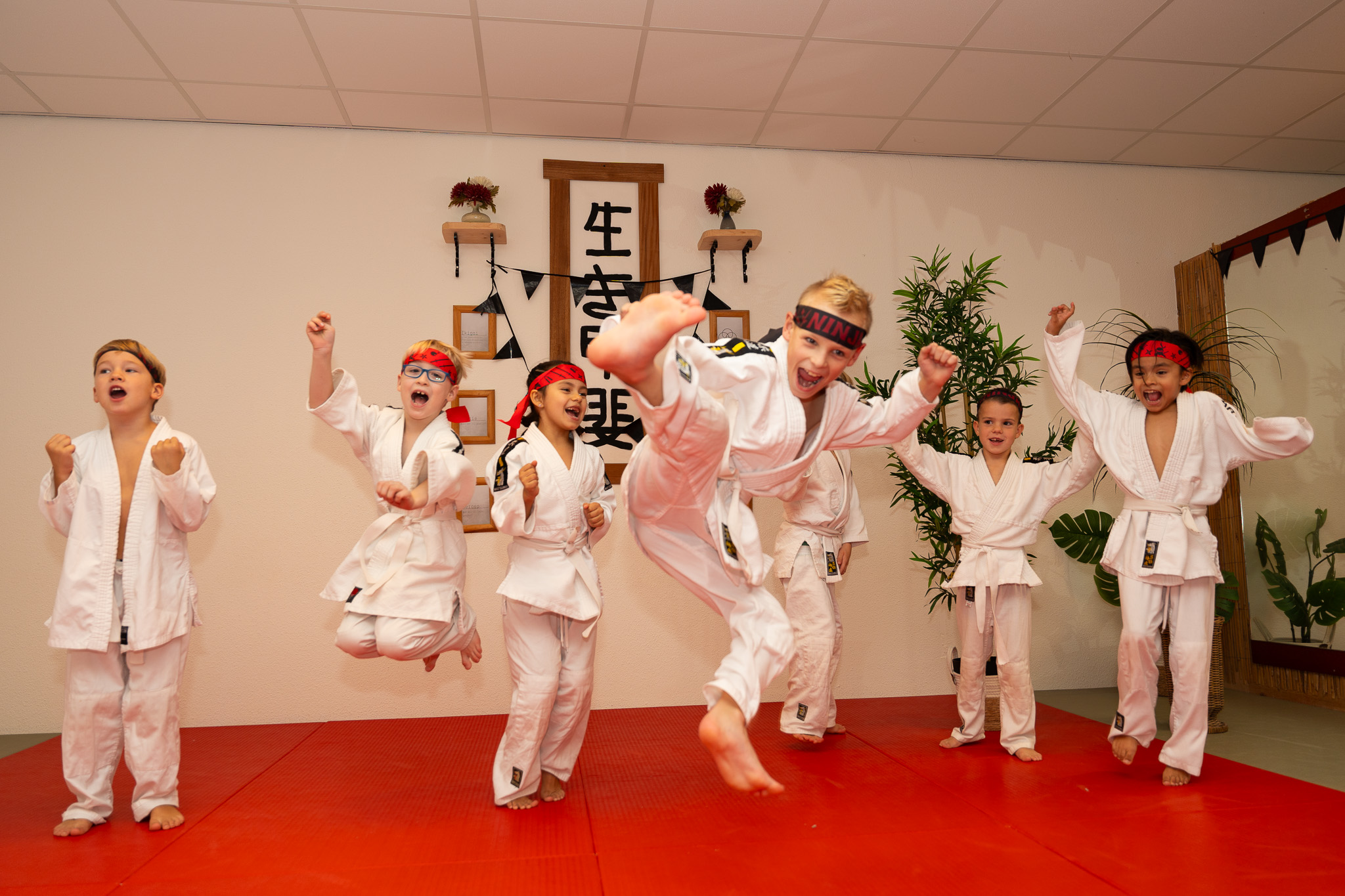 De krijgers van Japan